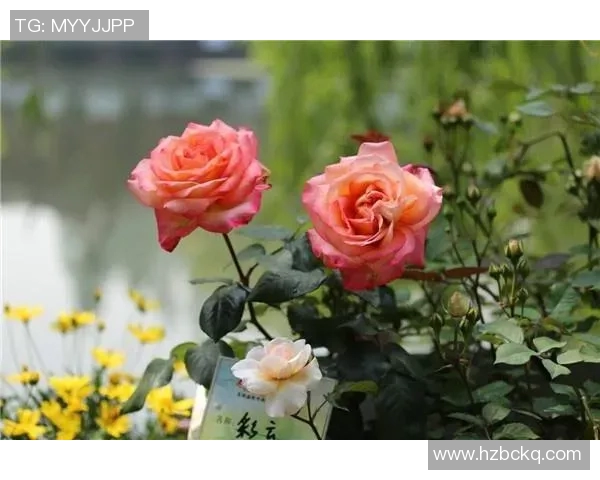 俞长栋：从基层到高层的奋斗历程与人生哲学探索